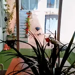Tatil Evi Ca La Rosa *